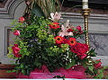 neméně krásná kytice zdobí protější oltář Svaté Rodiny