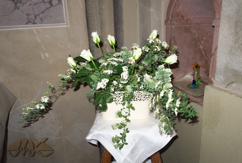 Panně Marii na poděkování dnes kdosi donesl nádherné bílé růže