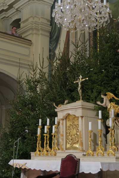 v kostele jsou připraveny stromky na vánoční výzdobu