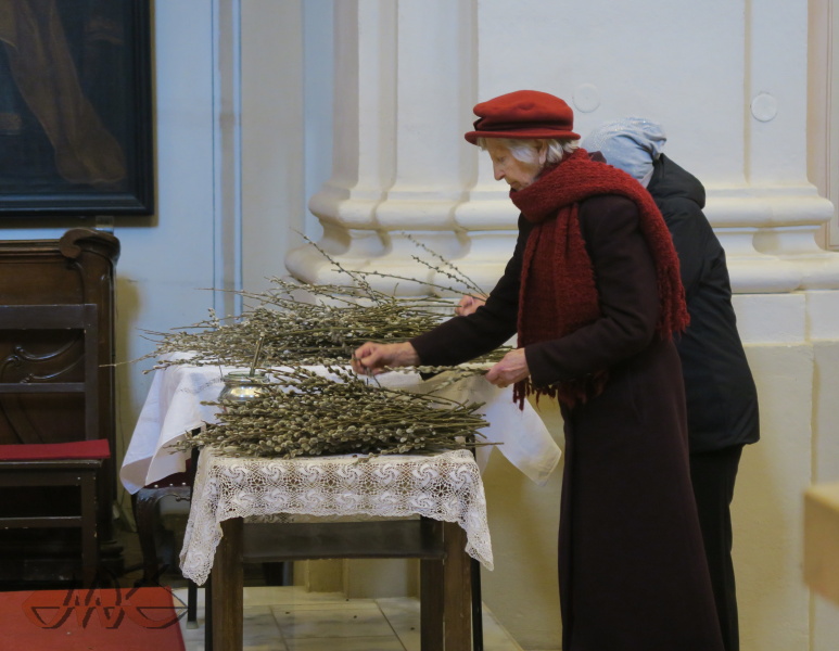 lidé si berou kočičky do lavic