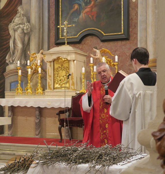 žehnání ratolestí