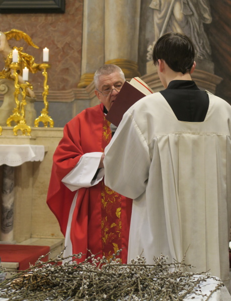 čte se evangelium o vjezdu do Jeruzaléma