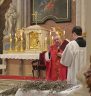 žehnání ratolestí